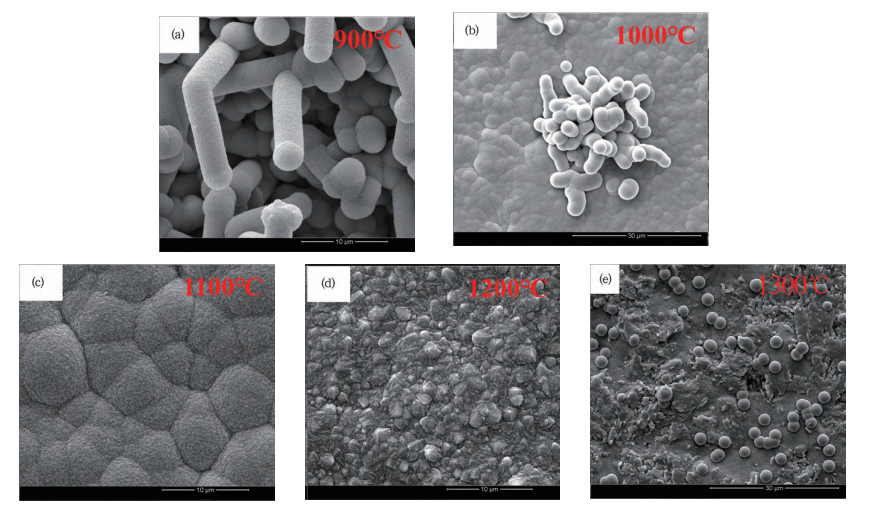 CVD-SiC Coatings များပေါ်တွင် အပူချိန်သက်ရောက်မှု