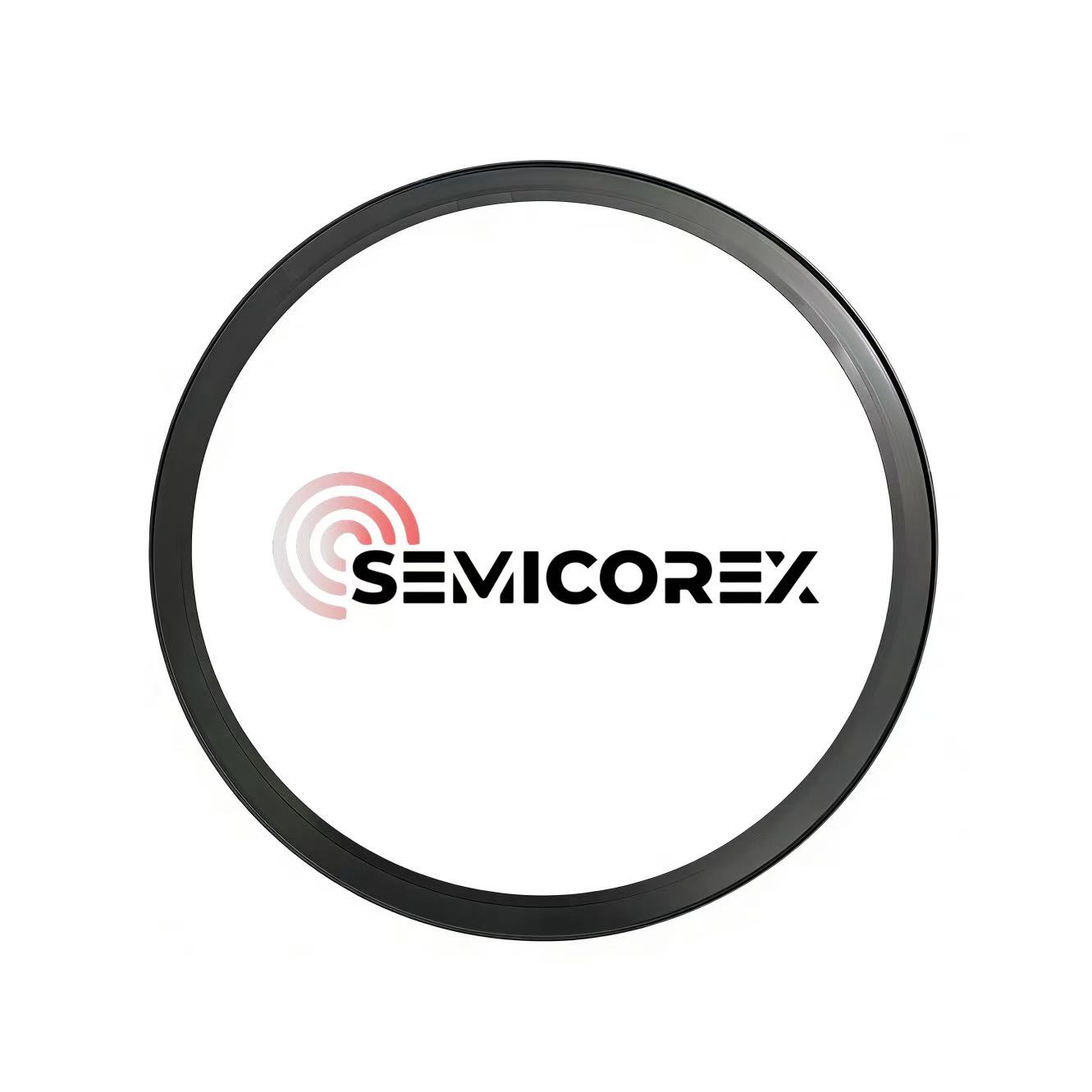 Silicon Carbide Focus Rings များ